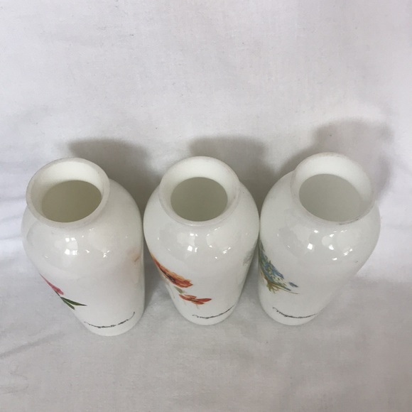 MARJOLEIN BASTIN- Nature’s Sketchbook- set of 3 white glass signed vases- 6” - Picture 5 of 6